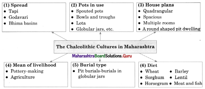 Maharashtra Board Class 11 History Important Questions Chapter 3 Chalcolithic Villages in India 3 Q1.1