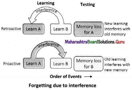 Maharashtra Board Class 11 Psychology Important Questions Chapter 8 Memory 2B Q2