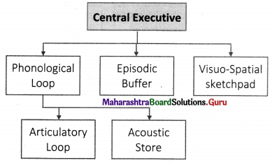 Maharashtra Board Class 11 Psychology Solutions Chapter 8 Memory 2 Q2