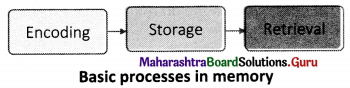 Maharashtra Board Class 11 Psychology Solutions Chapter 8 Memory 6 Q1