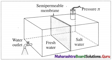 Maharashtra Board Class 12 Chemistry Solutions Chapter 2 Solutions 8