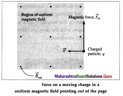 Maharashtra Board Class 12 Physics Important Questions Chapter 10 Magnetic Fields due to Electric Current 3