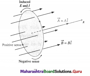 Maharashtra Board Class 12 Physics Important Questions Chapter 12 Electromagnetic Induction 10