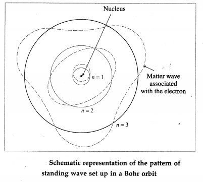 Maharashtra Board Class 12 Physics Important Questions Chapter 15 Structure of Atoms and Nuclei 24