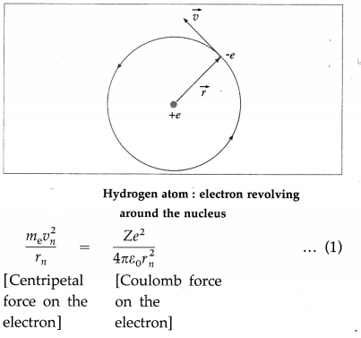 Maharashtra Board Class 12 Physics Important Questions Chapter 15 Structure of Atoms and Nuclei 6