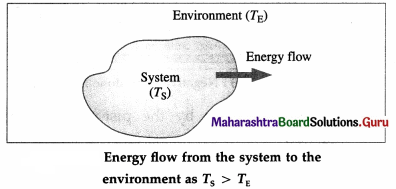 Maharashtra Board Class 12 Physics Important Questions Chapter 4 Thermodynamics 5