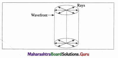 Maharashtra Board Class 12 Physics Important Questions Chapter 7 Wave Optics 2
