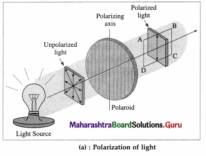 Maharashtra Board Class 12 Physics Important Questions Chapter 7 Wave Optics 48