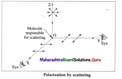 Maharashtra Board Class 12 Physics Important Questions Chapter 7 Wave Optics 54