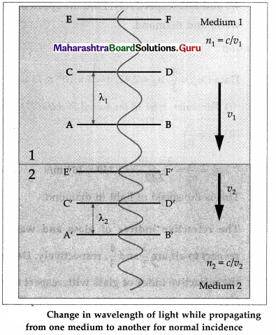 Maharashtra Board Class 12 Physics Important Questions Chapter 7 Wave Optics 7