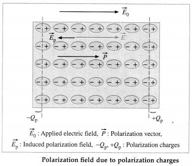 Maharashtra Board Class 12 Physics Important Questions Chapter 8 Electrostatics 50