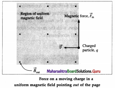 Maharashtra Board Class 12 Physics Solutions Chapter 10 Magnetic Fields due to Electric Current 27