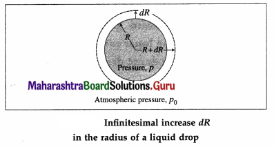 Maharashtra Board Class 12 Physics Solutions Chapter 2 Mechanical Properties of Fluids 55