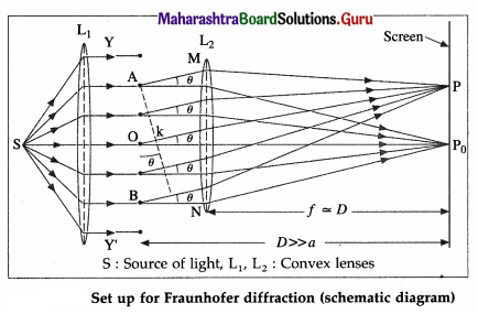Maharashtra Board Class 12 Physics Solutions Chapter 7 Wave Optics 51