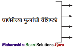Maharashtra Board Class 12 Marathi Yuvakbharati Solutions Chapter 8 रेशीमबंध 2