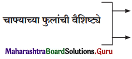 Maharashtra Board Class 12 Marathi Yuvakbharati Solutions Chapter 8 रेशीमबंध 3