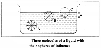 Maharashtra Board Class 12 Physics Important Questions Chapter 2 Mechanical Properties of Fluids 13