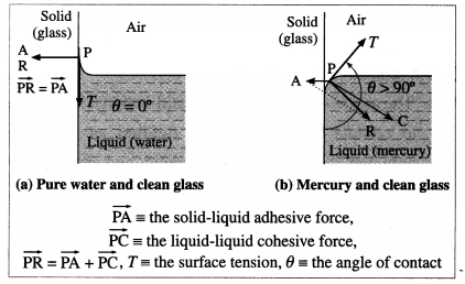 Maharashtra Board Class 12 Physics Important Questions Chapter 2 Mechanical Properties of Fluids 20