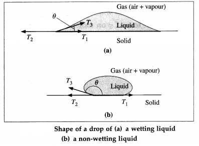 Maharashtra Board Class 12 Physics Important Questions Chapter 2 Mechanical Properties of Fluids 21