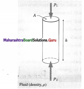 Maharashtra Board Class 12 Physics Important Questions Chapter 2 Mechanical Properties of Fluids 3