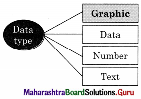 Maharashtra Board Class 11 Information Technology Solutions Chapter 2 Introduction to DBMS 1 Q1.1