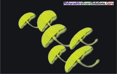 Maharashtra Board Class 12 Hindi Yuvakbharati Solutions Chapter 18 प्रकाश उत्पन्न करने वाले जीव 3
