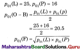 Maharashtra Board 12th Commerce Maths Solutions Chapter 5 Index Numbers Miscellaneous Exercise 5 IV Q13